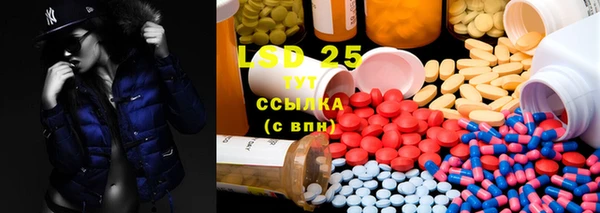 ПСИЛОЦИБИНОВЫЕ ГРИБЫ Заволжье