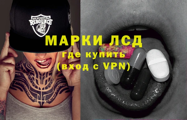ПСИЛОЦИБИНОВЫЕ ГРИБЫ Заволжье