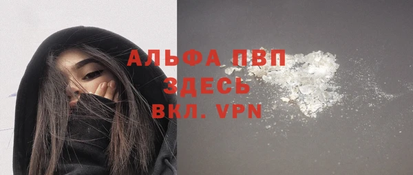 ПСИЛОЦИБИНОВЫЕ ГРИБЫ Заволжье