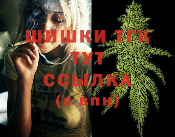ПСИЛОЦИБИНОВЫЕ ГРИБЫ Заволжье