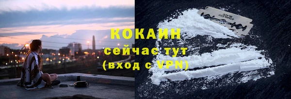 ПСИЛОЦИБИНОВЫЕ ГРИБЫ Заволжье