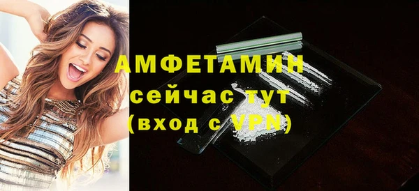ПСИЛОЦИБИНОВЫЕ ГРИБЫ Заволжье