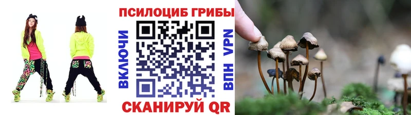 магазин    Каменск-Шахтинский  Псилоцибиновые грибы мицелий 