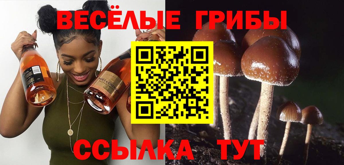 Каменск-Шахтинский  Псилоцибиновые грибы MAGIC MUSHROOMS  Вход с VPN 