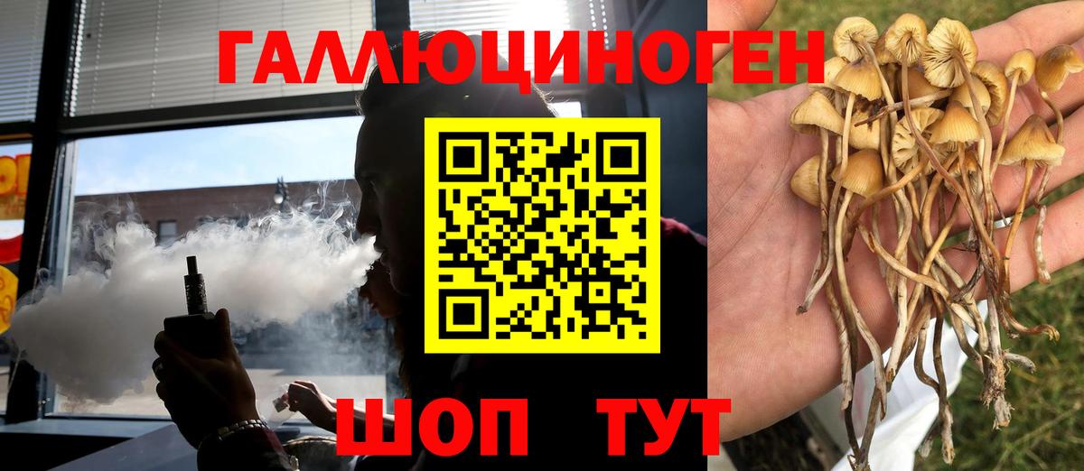 ГЕРОИН  Alpha PVP СОЛЬ   Вход с VPN  Мефедрон кристаллы  ГАШИШ  Каменск-Шахтинский  Кокаин 