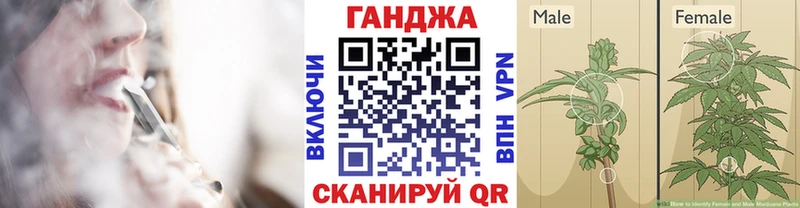 где купить Каменск-Шахтинский darknet как зайти Бошки марихуана тримм